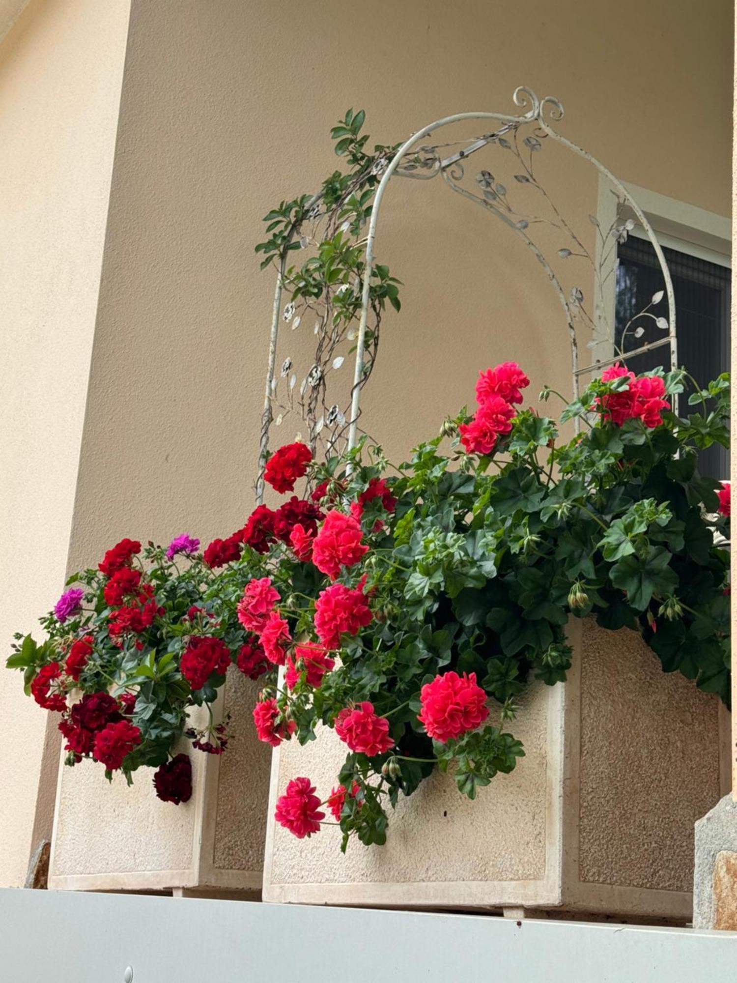Villa Dei Fiori - Casa Vacanza Capoterra Eksteriør bilde