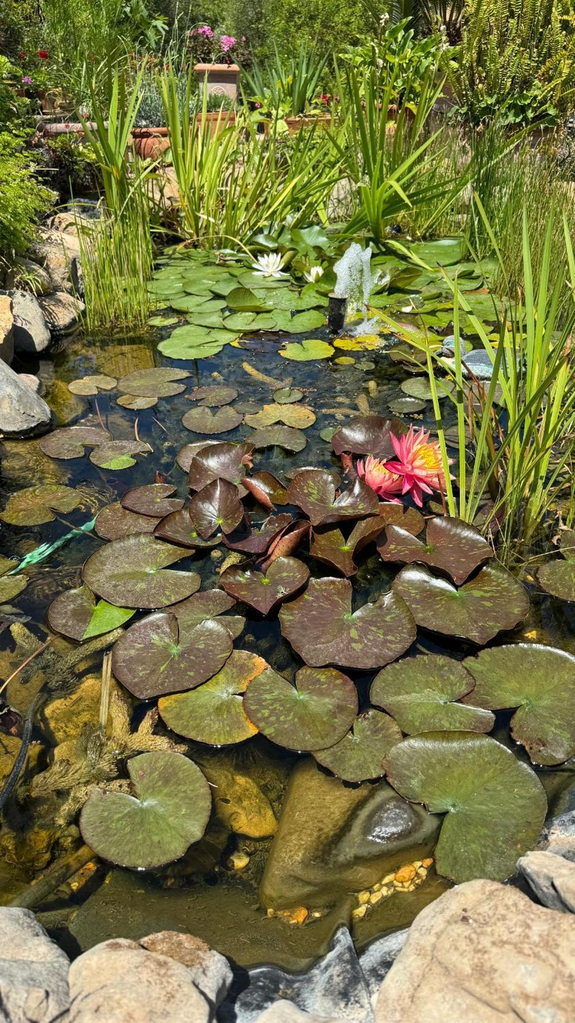 Villa Dei Fiori - Casa Vacanza Capoterra Eksteriør bilde