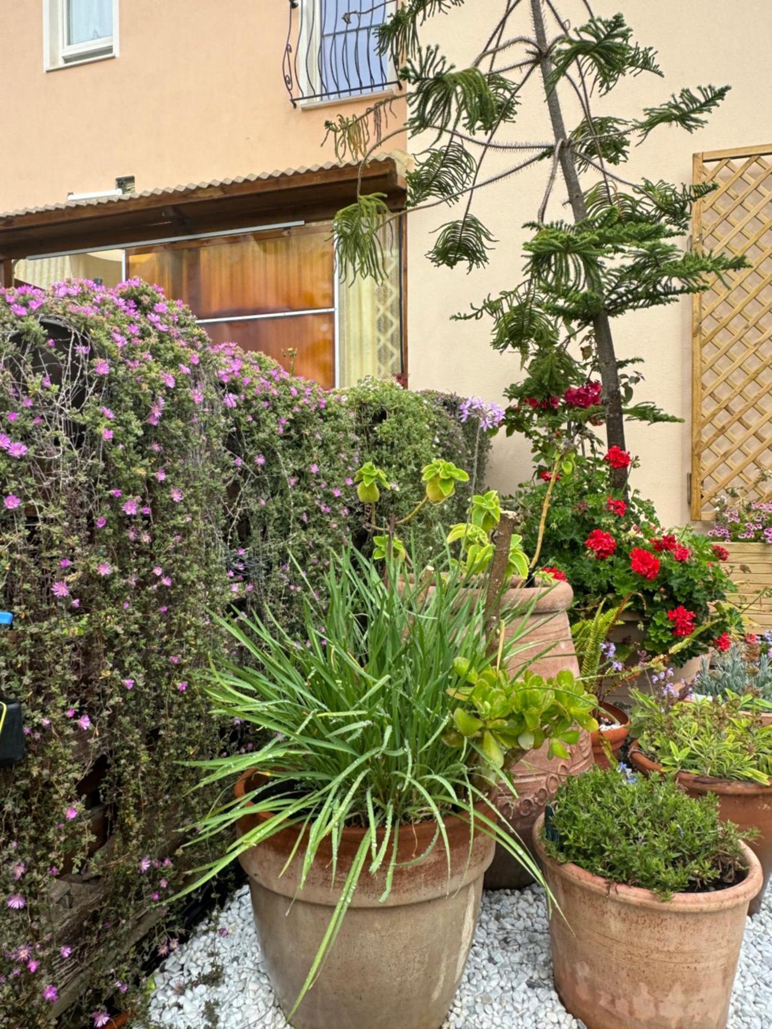 Villa Dei Fiori - Casa Vacanza Capoterra Eksteriør bilde