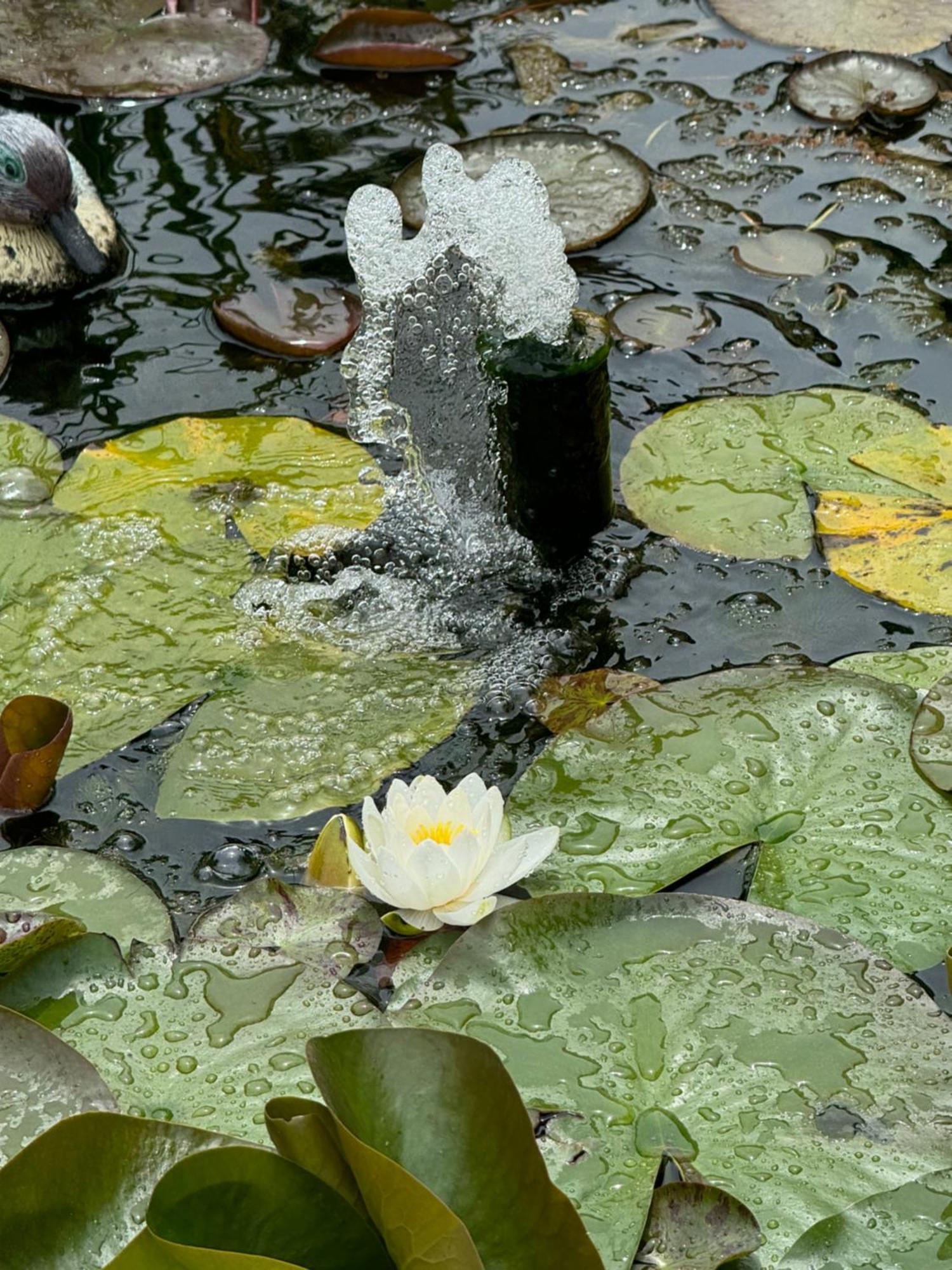 Villa Dei Fiori - Casa Vacanza Capoterra Eksteriør bilde